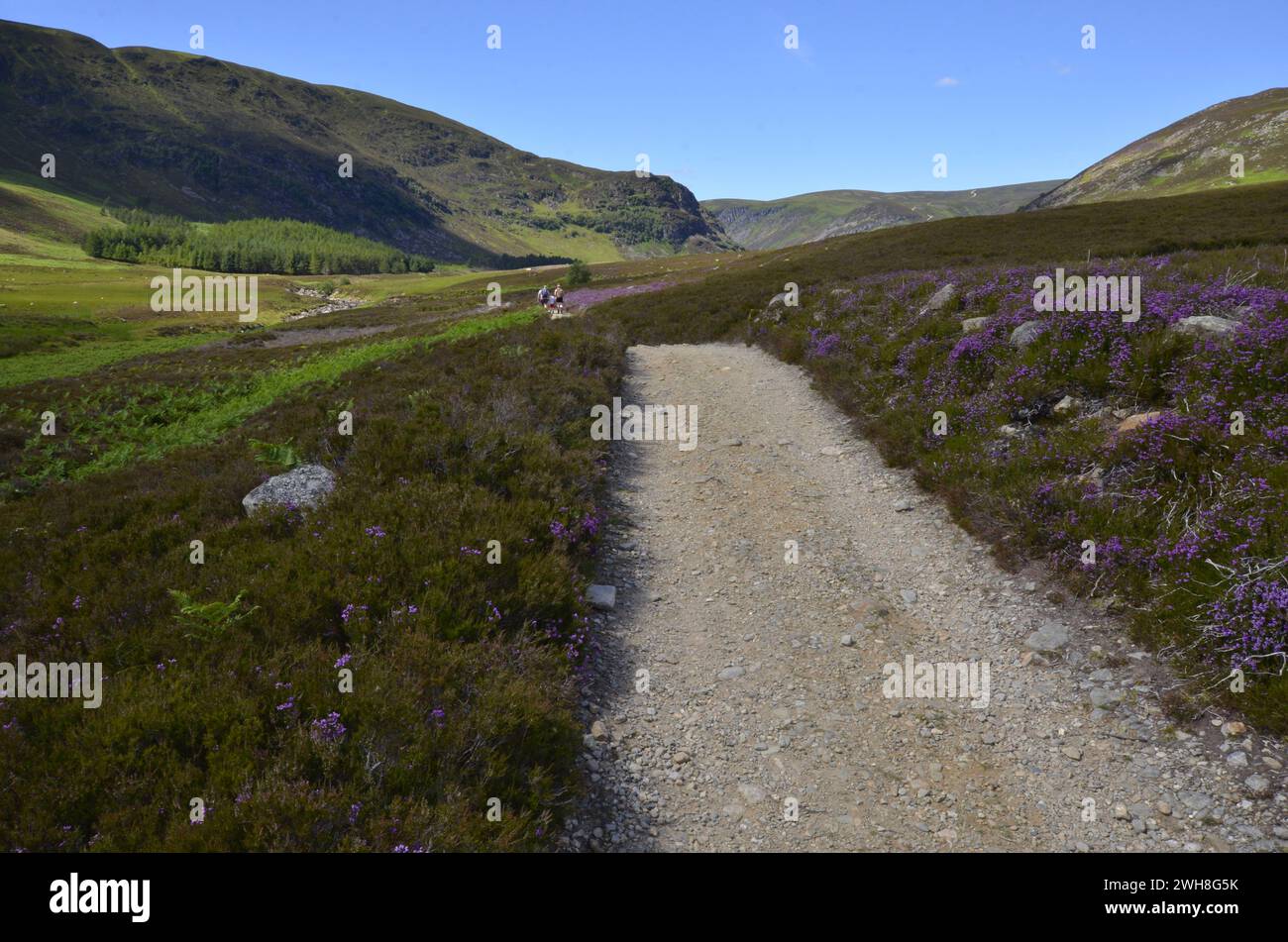 Escursionisti che camminano fino a Glen Mark nel Parco Nazionale di Cairngorms ad Angus, Scozia, Regno Unito Foto Stock