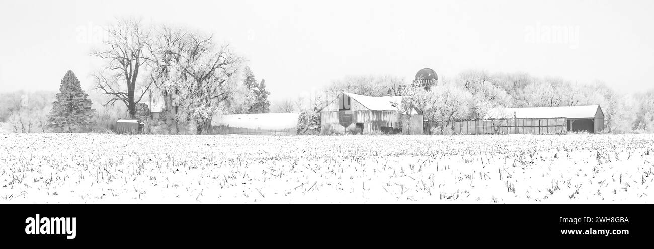 Campo innevato e fattoria con alberi ricoperti di ghiaccio rime in inverno realizzati in bianco e nero a Taylors Falls, Minnesota USA. Foto Stock