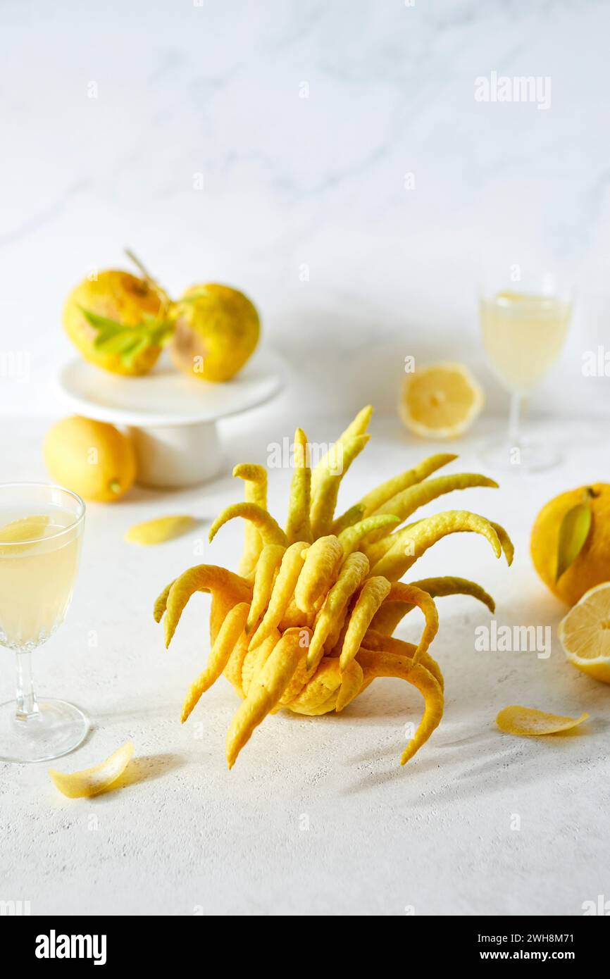 Tablescape con Citron, Yuzu, limoni e agrumi a mano di Buddha su sfondo bianco Foto Stock