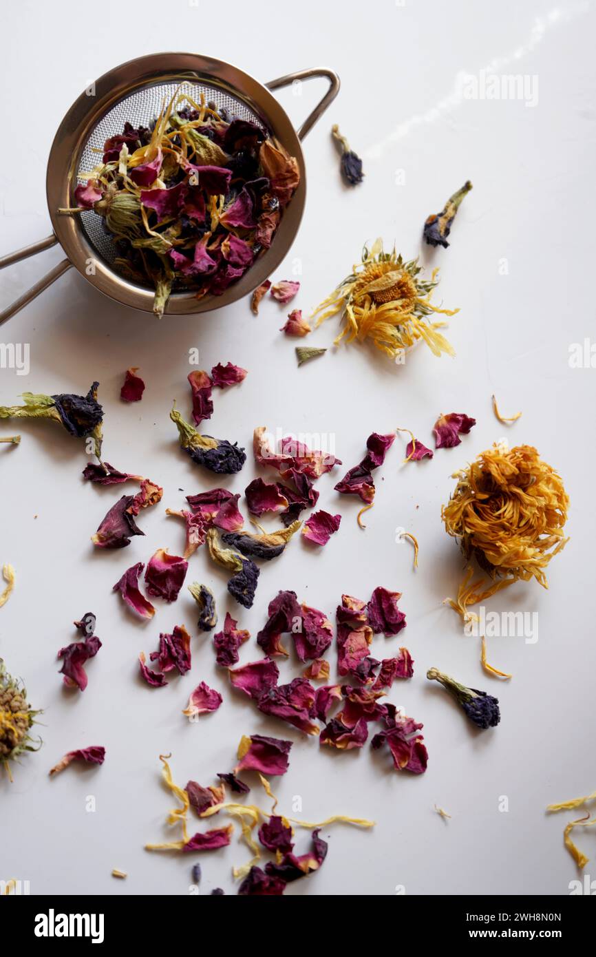Tisane miste, tra cui petali di rosa, calendula, lavanda e fiore di pisello a farfalla blu nel filtro per tè, primo piano. Foto Stock