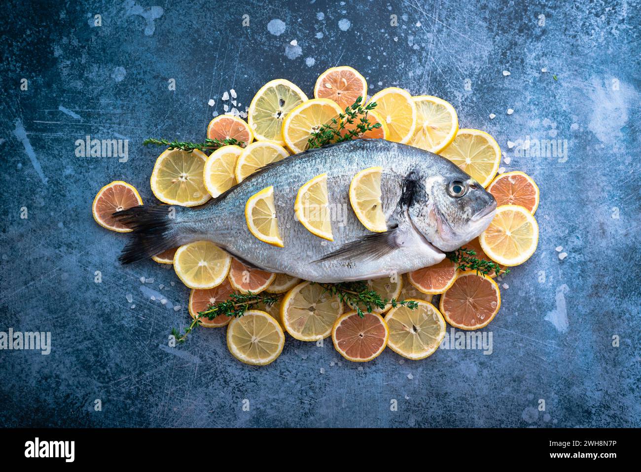 branzino su un letto di limone e timo prima di essere cucinato Foto Stock
