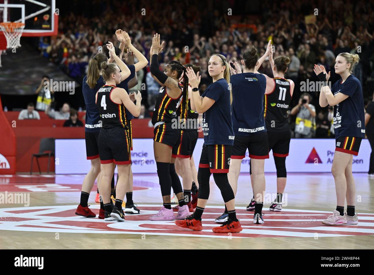 Anversa, Belgio. 8 febbraio 2024. I calciatori belgi ringraziano le tifosi dopo aver perso la partita l'ultimo secondo in una partita di basket tra la nazionale belga femminile "The Belgian Cats" e gli Stati Uniti, giovedì 08 febbraio 2024 ad Anversa, durante il torneo di qualificazione femminile FIBA per le Olimpiadi estive 2024 a Parigi, Francia. BELGA FOTO DIRK WAEM credito: Belga News Agency/Alamy Live News Foto Stock