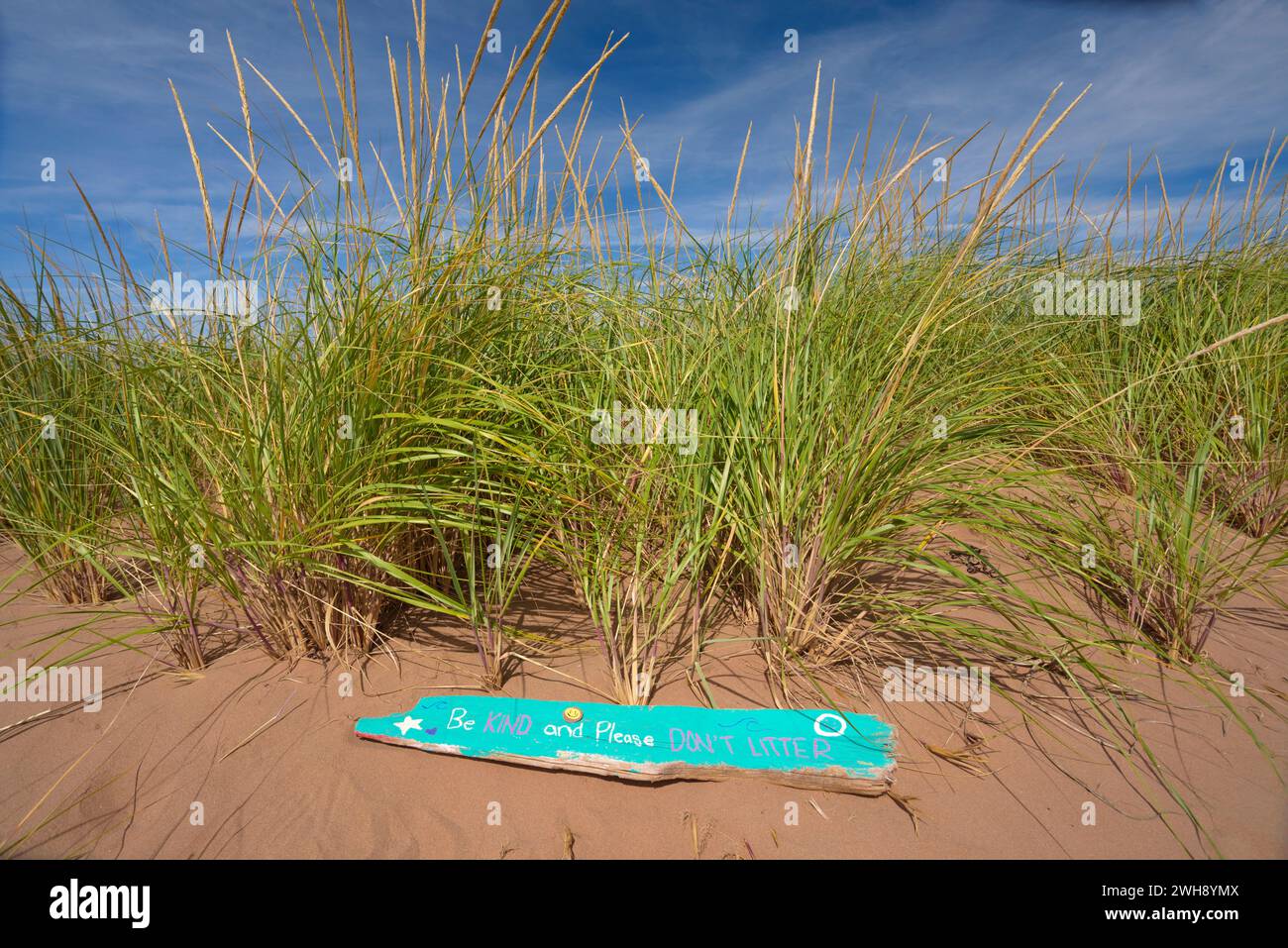 Insegna fatta a mano "Be Kind and please don't Litter" tra le spiaggie dell'Isola del Principe Edoardo, Canada. Foto Stock