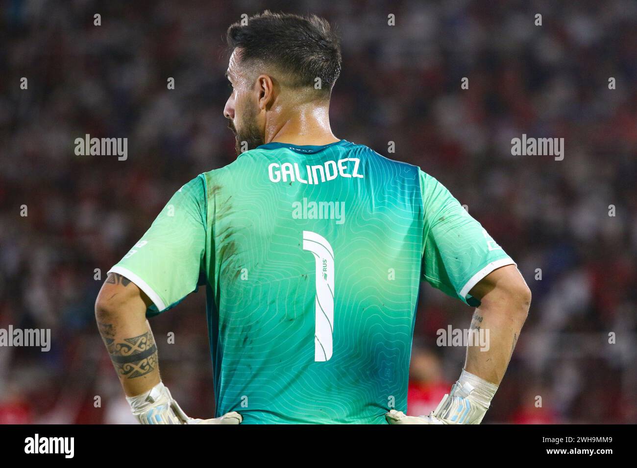 Buenos Aires, Argentina. 8 febbraio 2024. Hernán Galíndez dell'Huracan durante la partita del Fútbol turno della Liga Profesional de Ducó argentina allo stadio Tomas Adolfo ( crediti: Néstor J. Beremblum/Alamy Live News Foto Stock