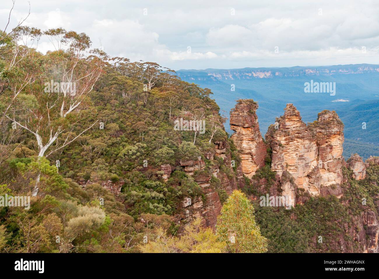 Vista delle tre Sorelle nelle Blue Mountains, New South Wales, Australia Foto Stock