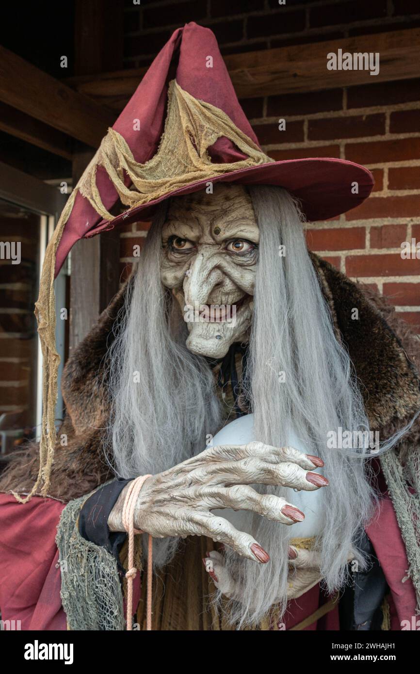 Una strega inquietante con un'espressione inquietante Foto Stock