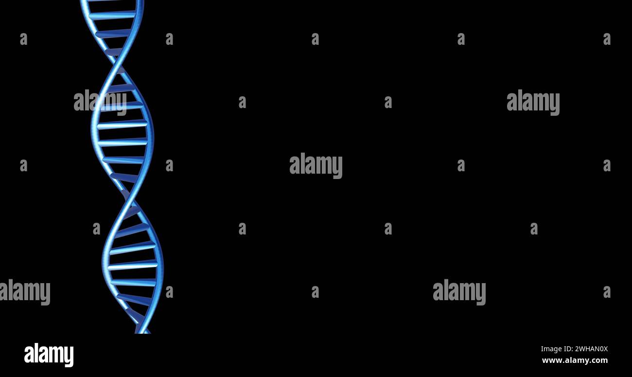 Immagine del filamento di dna che gira con spazio di copia su sfondo nero Foto Stock