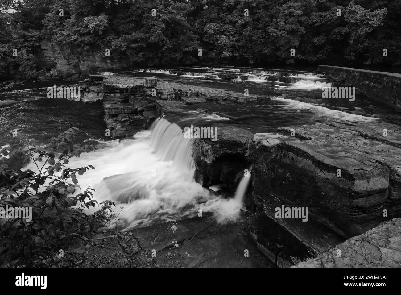 Cascate sul fiume Swale; città di Richmond; North Yorkshire, Inghilterra, Regno Unito Foto Stock