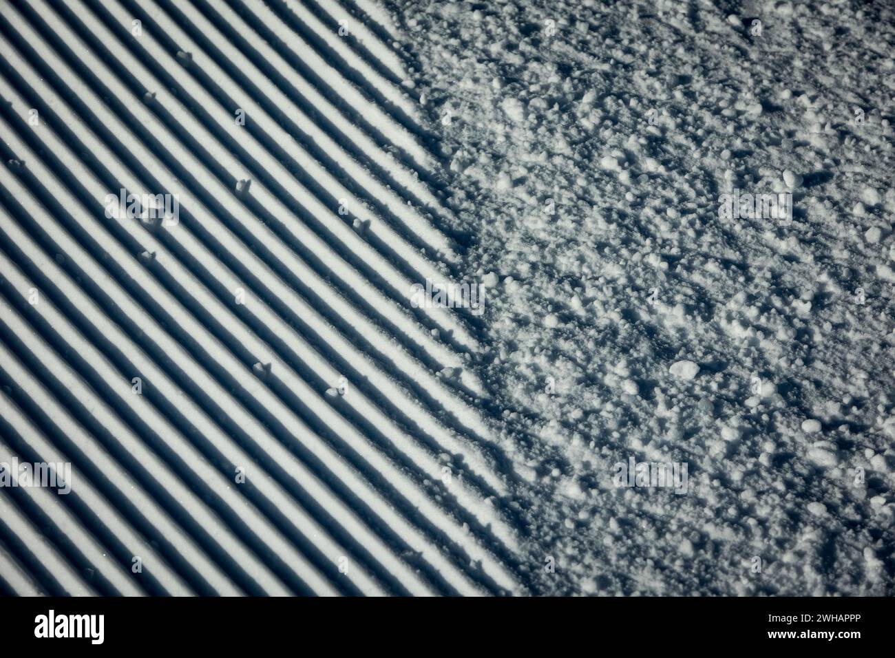 Decorata con motivi di sci da collina Foto Stock