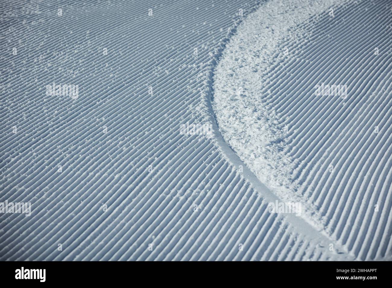 Decorata con motivi di sci da collina Foto Stock