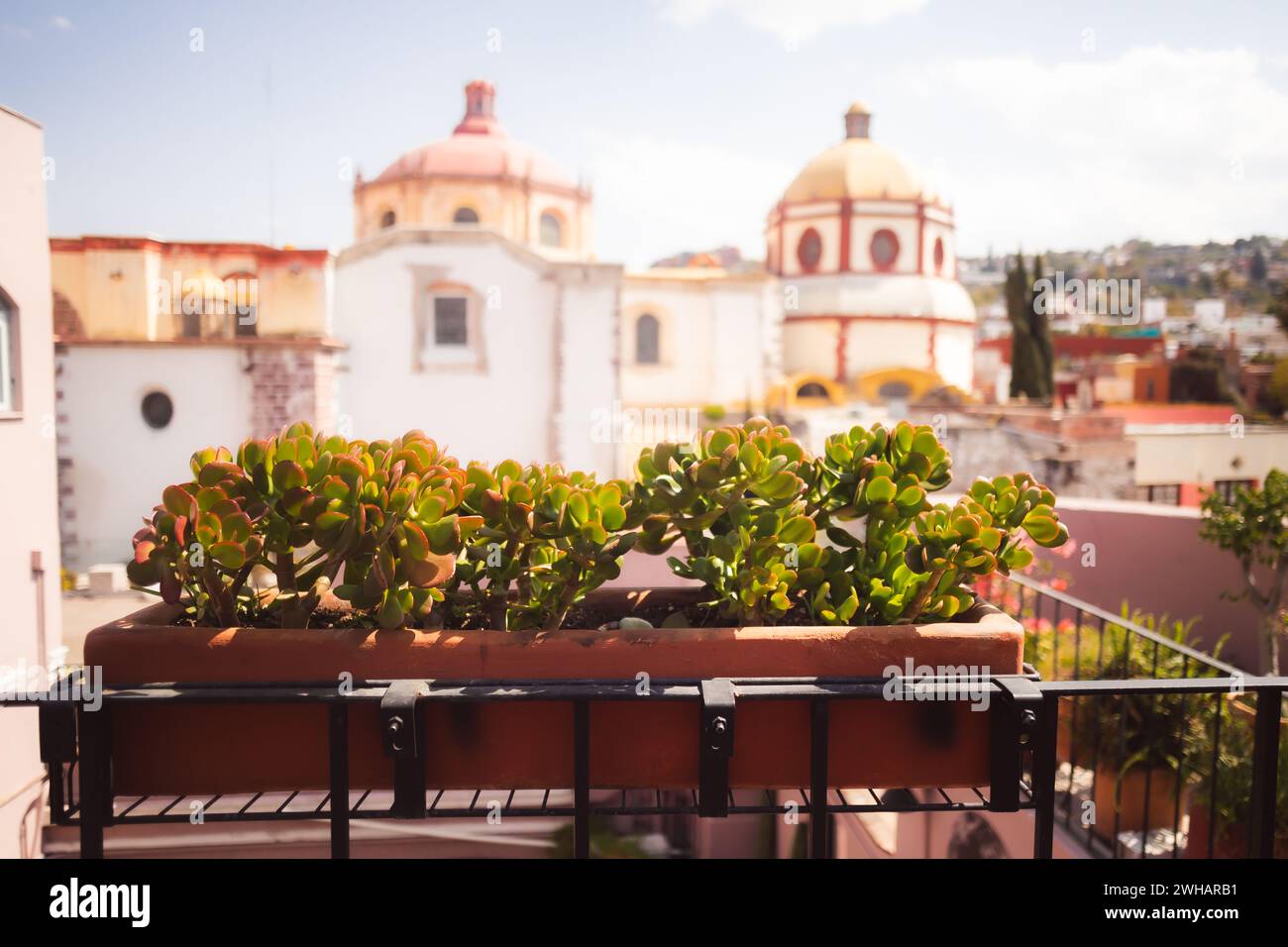 Piante succulente sul balcone con un vecchio edificio spagnolo sullo sfondo Foto Stock Piante succulente sul balcone con un vecchio edificio spagnolo sullo sfondo Foto Stock