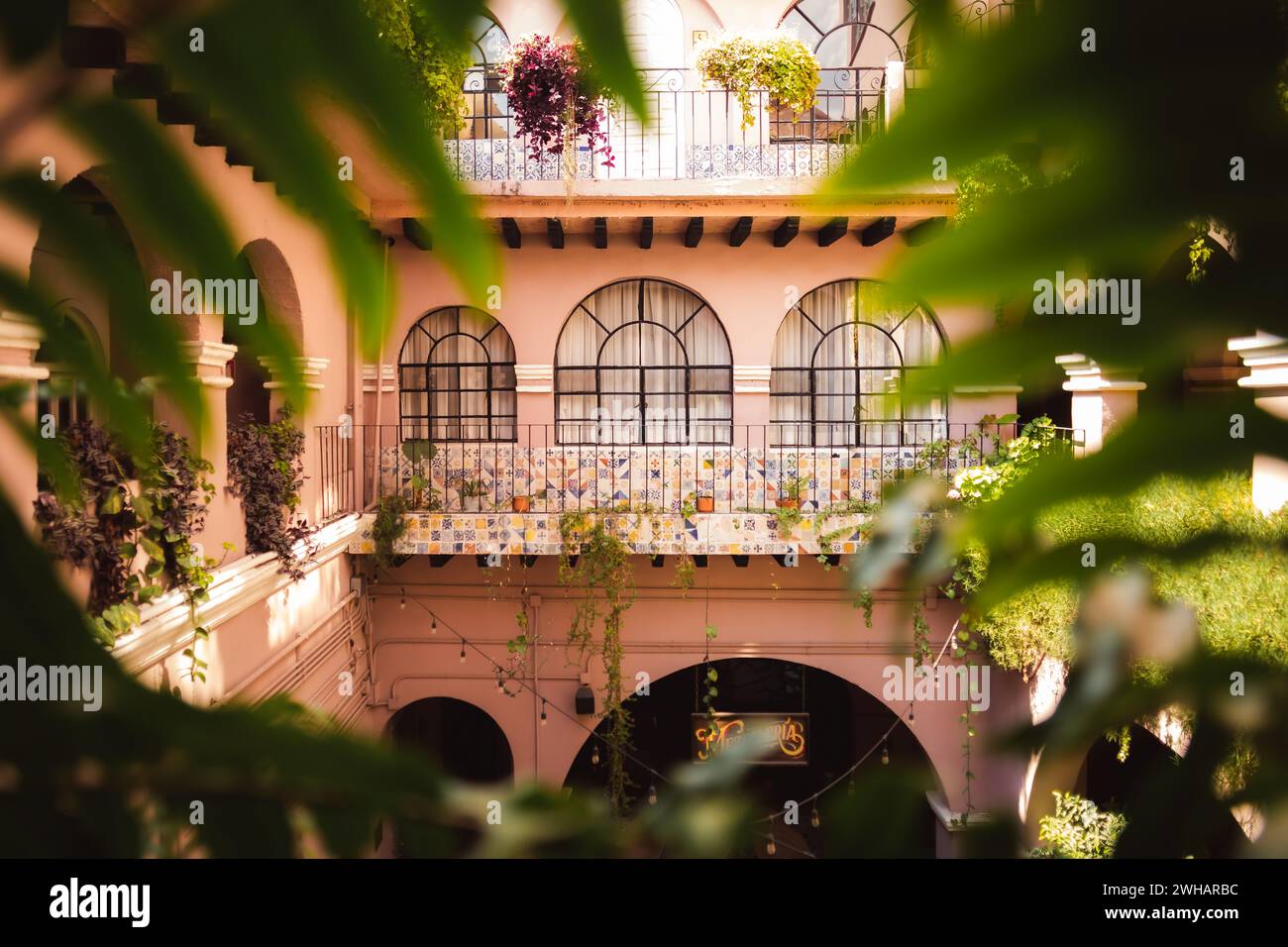 Piante che circondano un cortile di un edificio spagnolo Foto Stock Piante che circondano un cortile di un edificio spagnolo Foto Stock