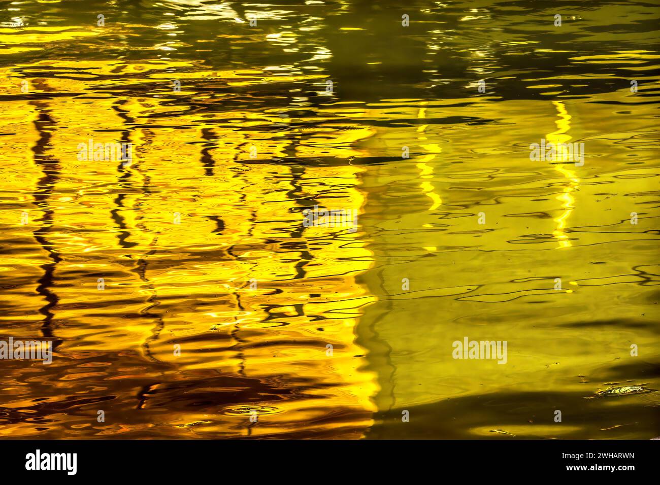 Giardino della riflessione sull'acqua, Tempio del Padiglione dorato Kinkaku-Ji Kyoto Foto Stock