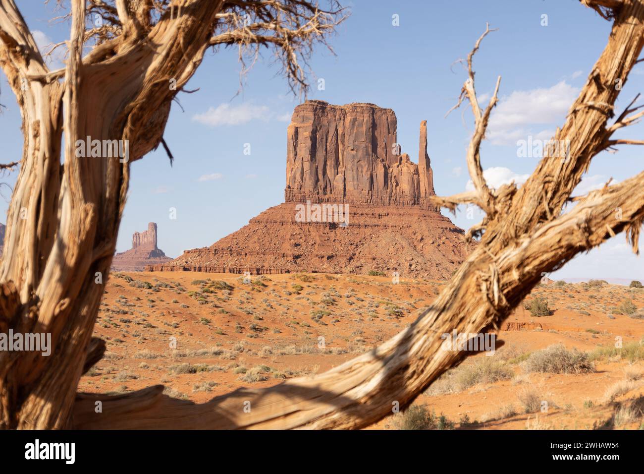 La West e la East Mitten Buttes si trovano a due passi dal Monument Valley Navajo Tribal Park nella parte nord-orientale della Navajo County, Arizona. Foto Stock