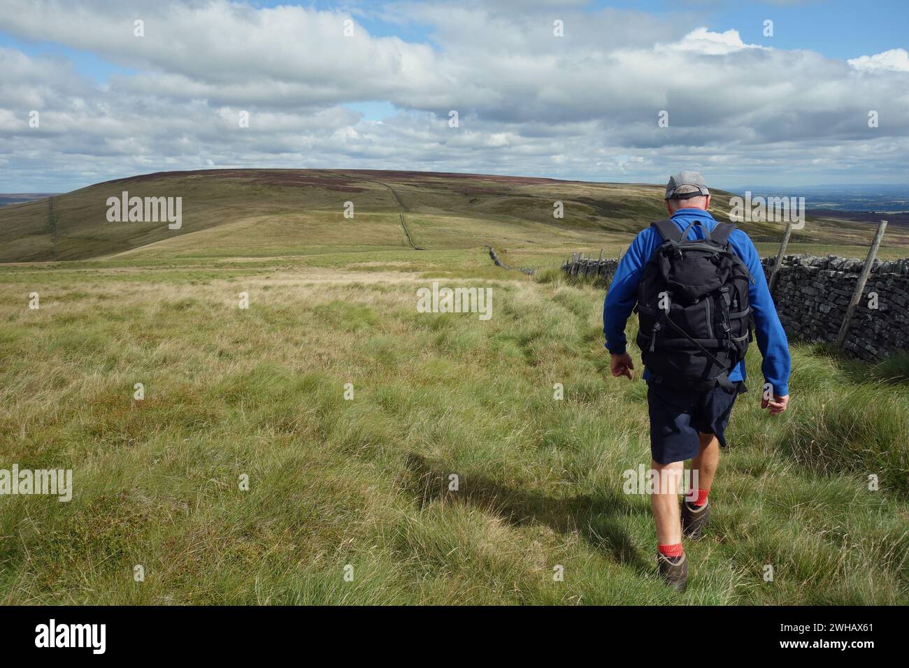 Lone Man (escursionista) Walking on Path by the Wall da "Harland Hill" a "Height of Hazely" vicino a West Burton nel Yorkshire Dales National Park, Inghilterra. Foto Stock