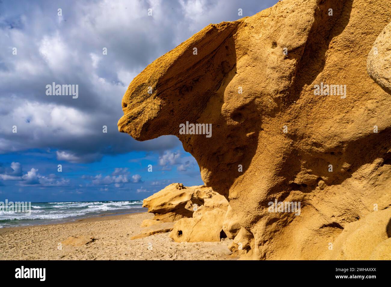 Arenaria a forma astratta formata dal vento e dall'acqua fotografata a Beit Yanai Beach, Israele Foto Stock