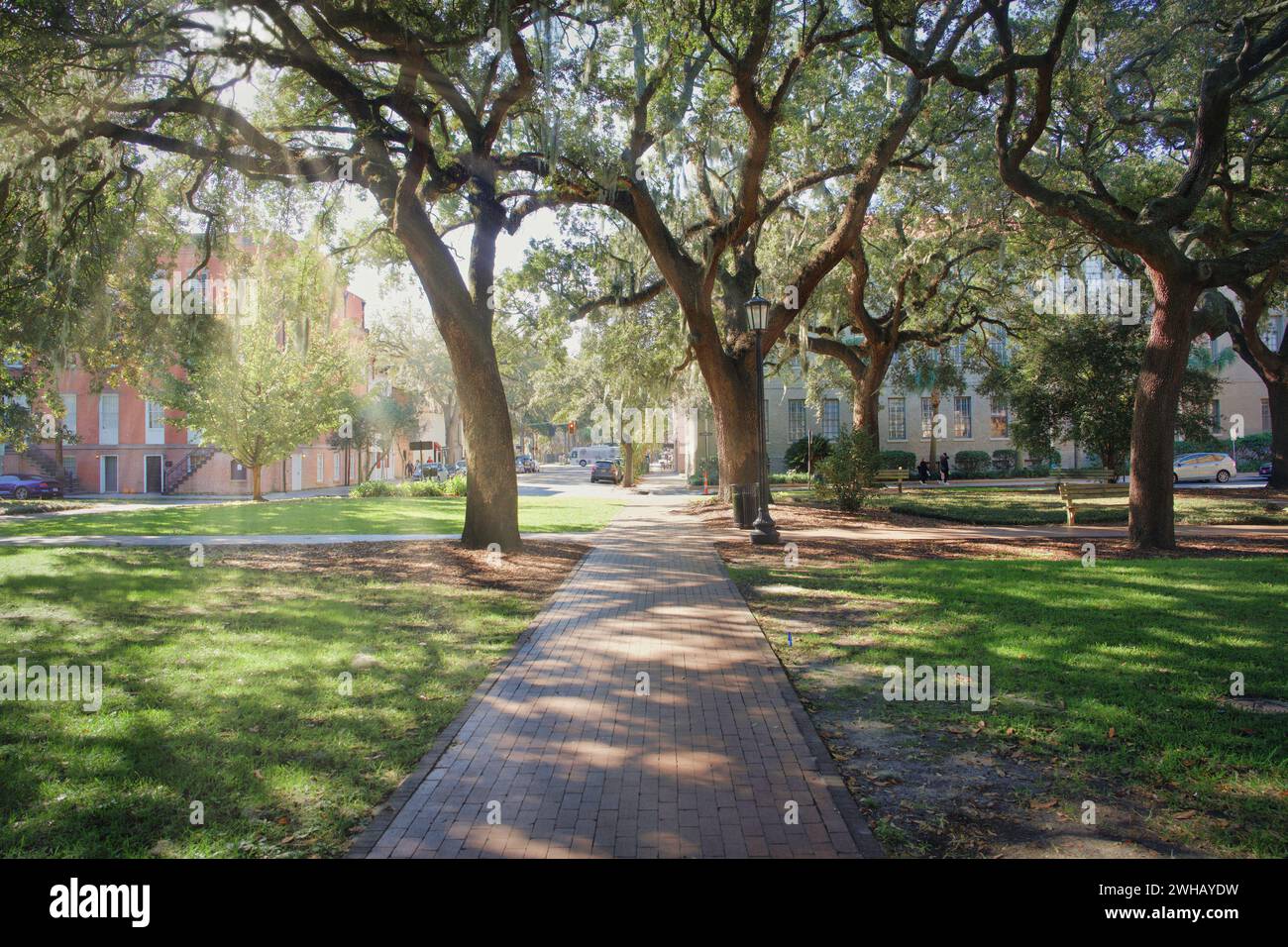 Foto di Oglethorpe Square a Savannah Georgia, Stati Uniti Foto Stock