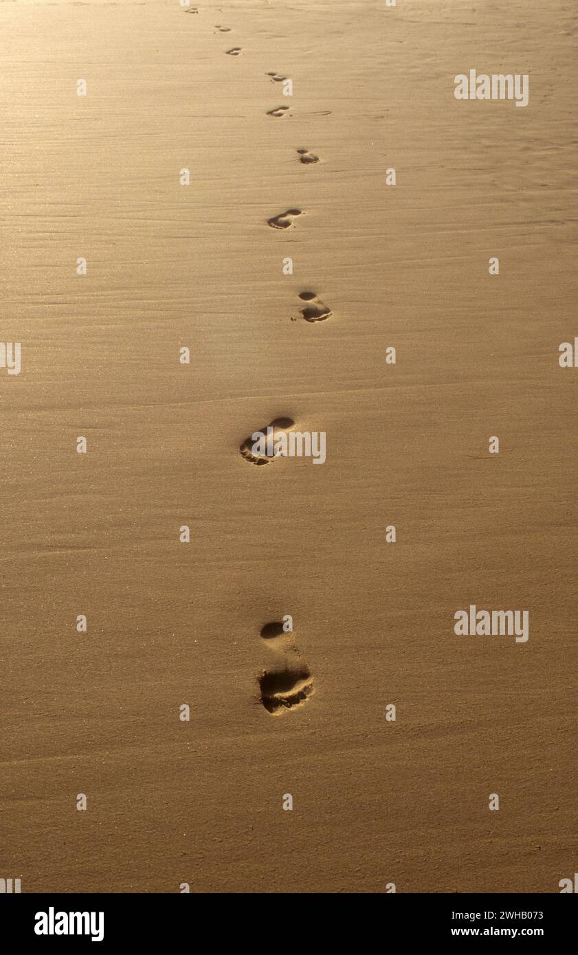 Passi umani nella sabbia bagnata di una spiaggia Foto Stock