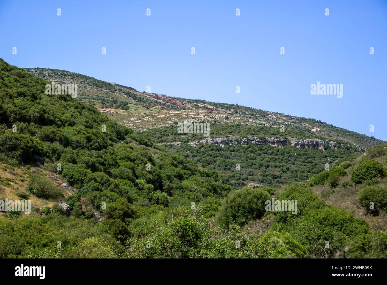 Paesaggio alta Galilea, Israele Foto Stock