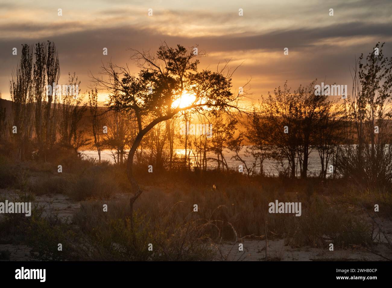 Alba a Issyk Kul, Kirghizistan. Issyk-Kul anche Ysyk-Köl, è un lago salino endorheico (cioè senza deflusso) nei Monti Tianshan occidentali in ea Foto Stock