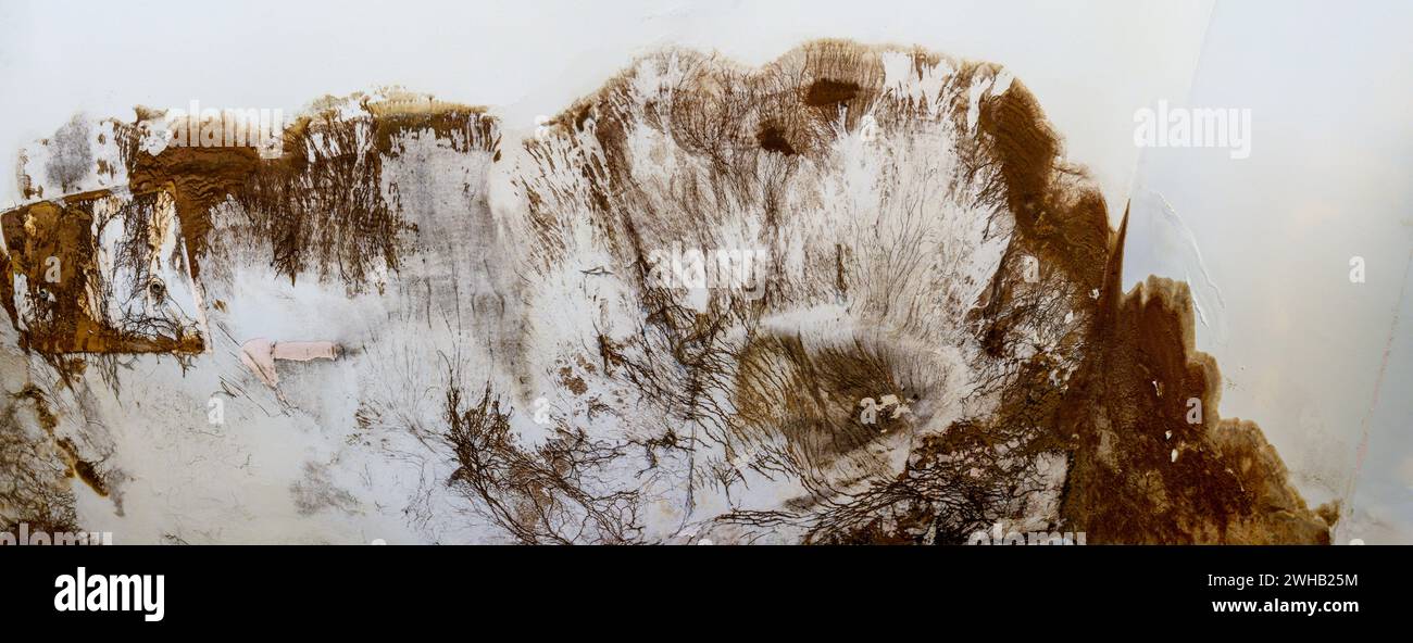 La muffa cresce all'esterno di un muro del bagno. Ciò è stato causato da una perdita di tubo. Il muro era coperto da un armadio a muro che oscurava i danni Foto Stock