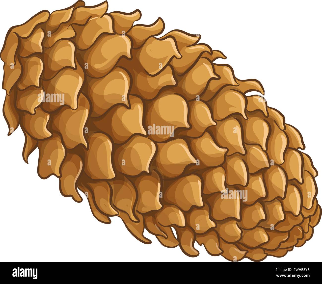 illustrazione colorata del cono di abete Illustrazione Vettoriale