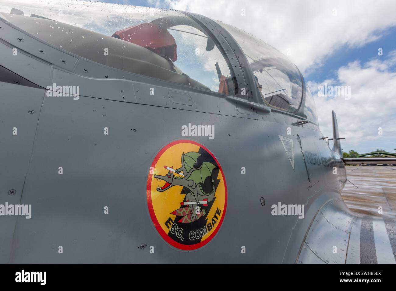 Simbolo di drago da squadrone di combattimento su un aereo da caccia Super Tucano presso la base aerea di San Isidro nella Repubblica Dominicana. Foto Stock