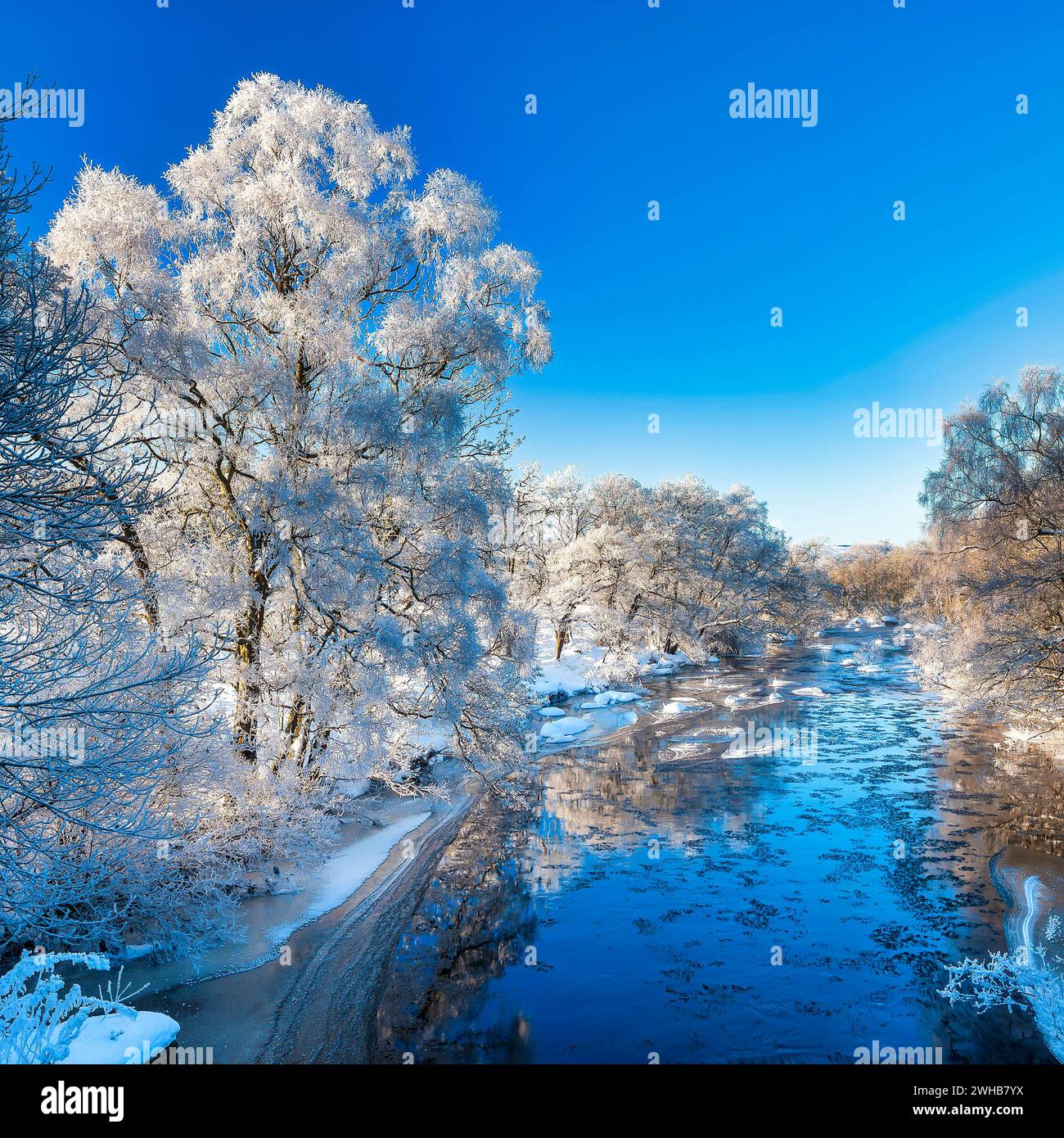 Vista del fiume Rede in inverno presso il villaggio di Redesmouth nr Bellingham nel Northumberland, con brina e cieli blu a temperature inferiori a 15 gradi Foto Stock