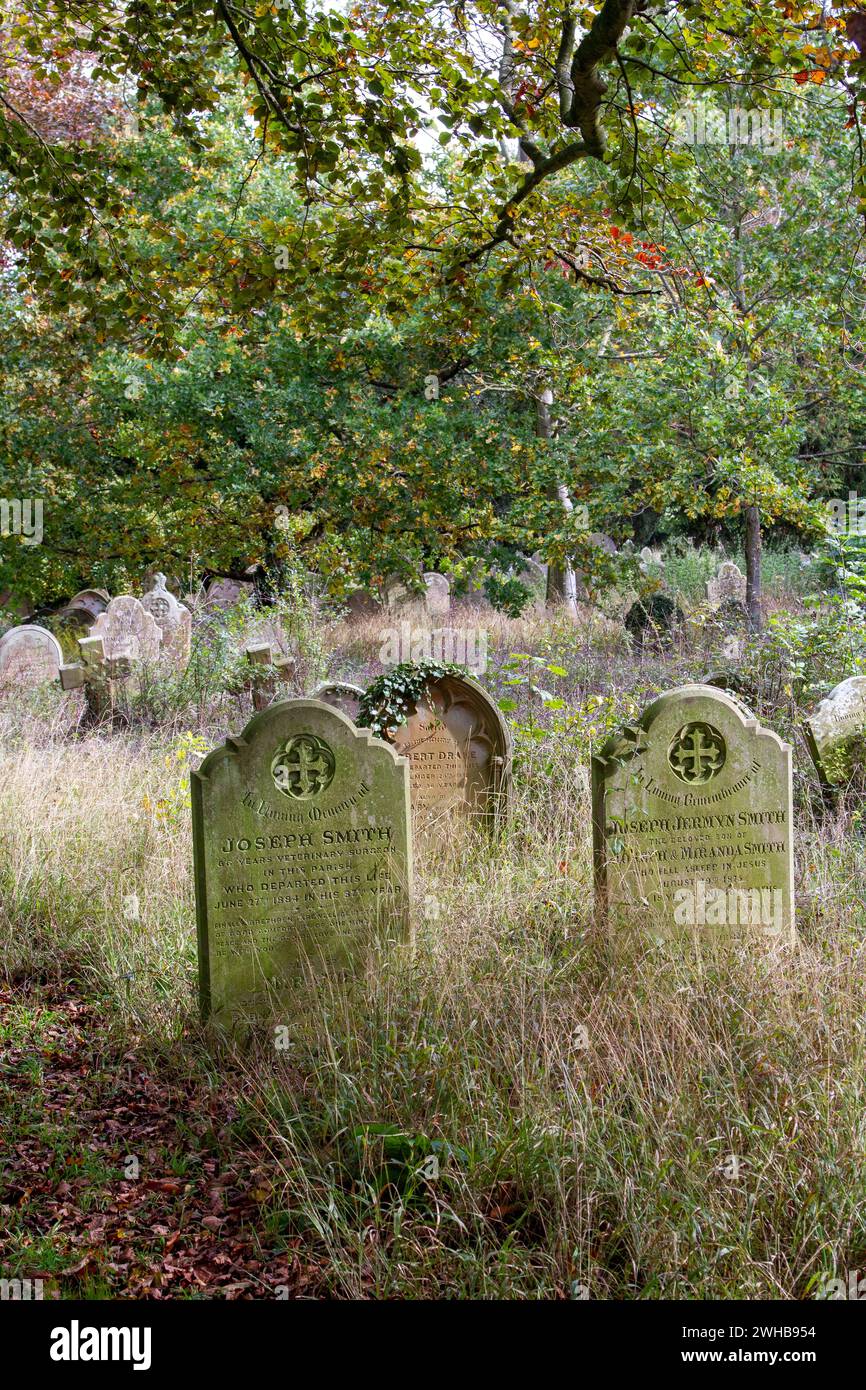 In un angolo tranquillo di un cimitero rurale del Suffolk, le lapidi vittoriane di Joseph Smith e Joseph Jermyn Smith, erano sicuramente imparentate ... Foto Stock