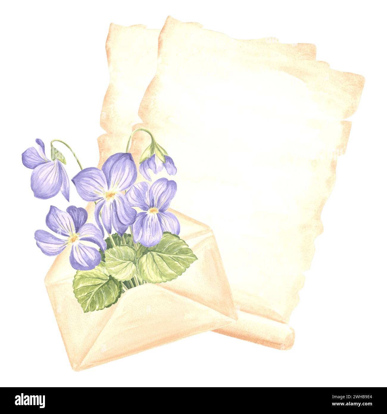 Fogli di carta pergamena, busta aperta con bouquet di fiori di viola selvatica con foglie. Materiali di consumo per la scrittura. Illustrati ad acquerello isolati disegnati a mano Foto Stock
