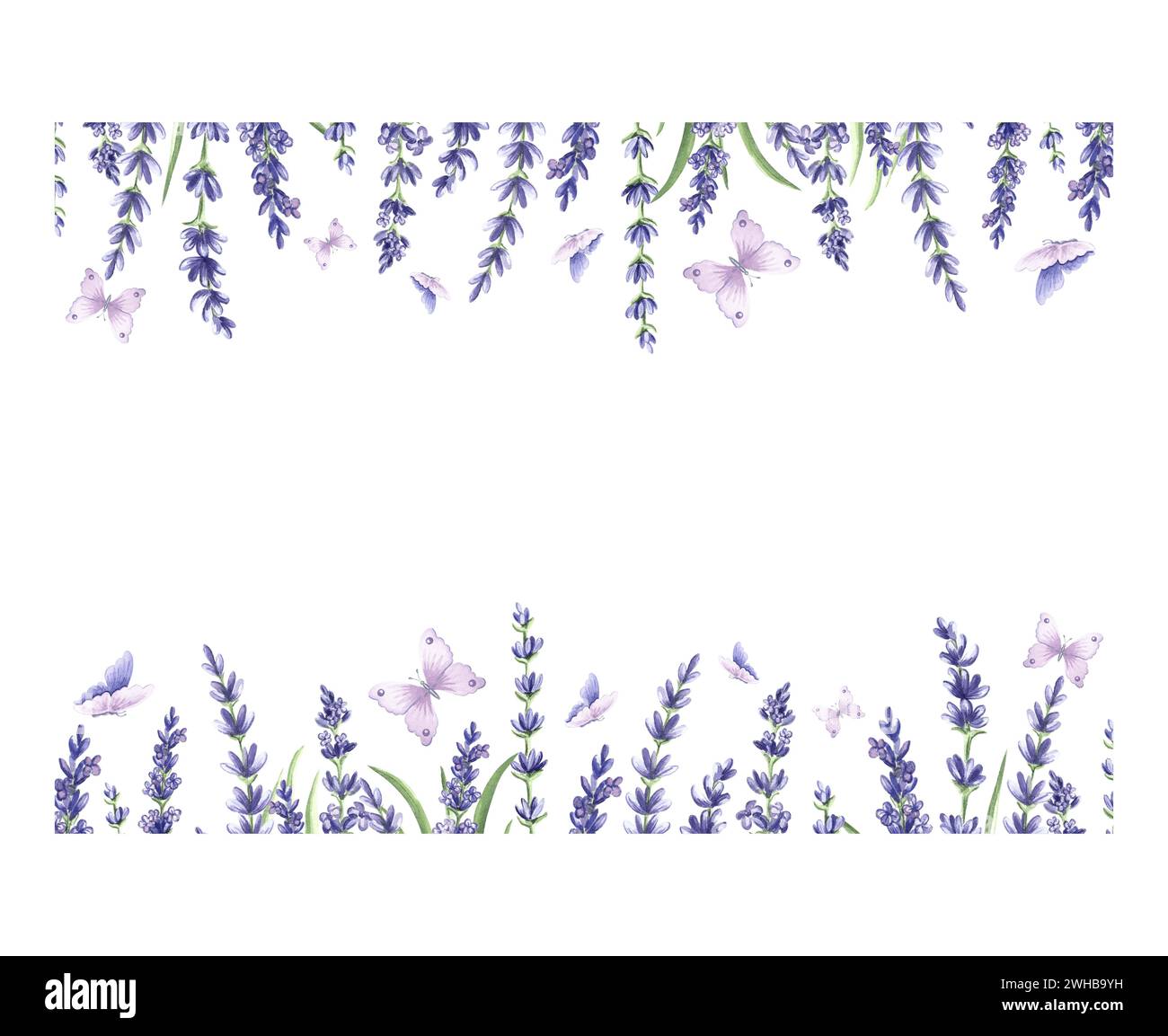 Cornice orizzontale acquerello da fiori viola di lavanda con foglie verdi e farfalle. Modello da erbe con spazio di copia. Isolato a mano disegnato i Foto Stock