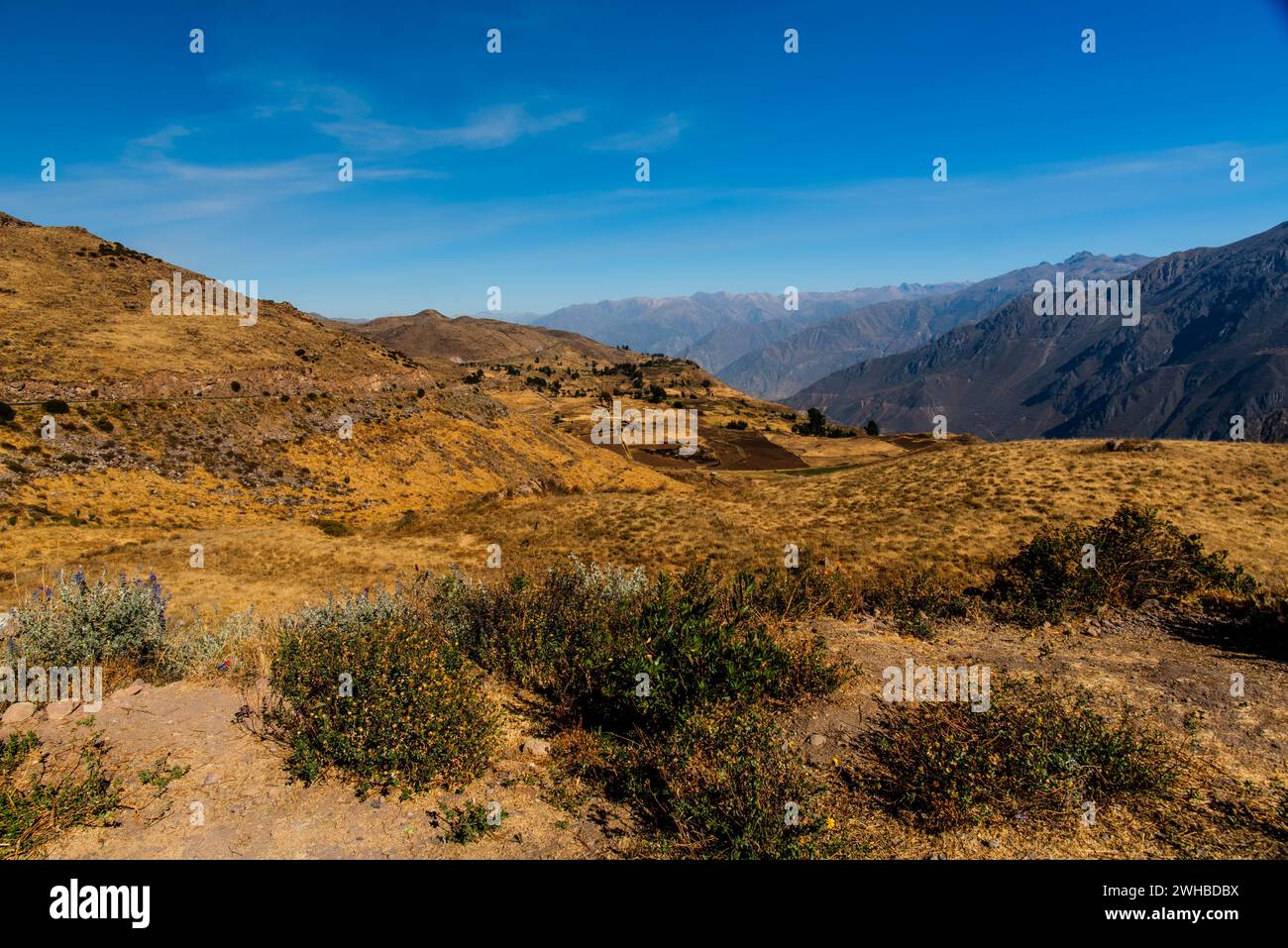 Altopiano arido all'alba sul Canyon del Colca ad Arequipa, Perù Foto Stock