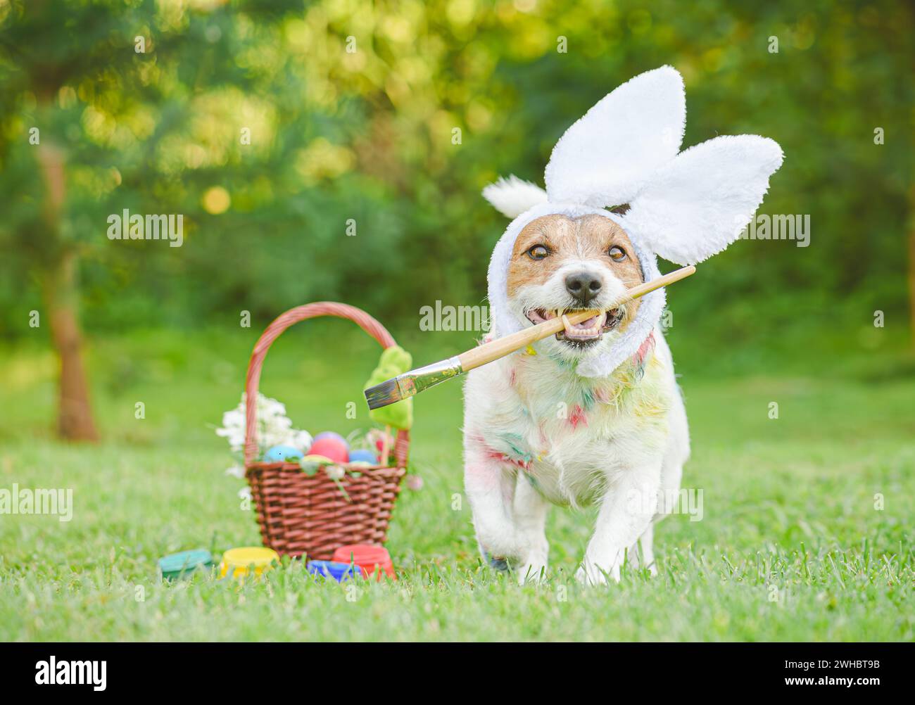 Un cane dall'aspetto divertente con le orecchie da coniglietto che reggono le uova colorate con pennello per la caccia all'uovo di Pasqua in giardino Foto Stock