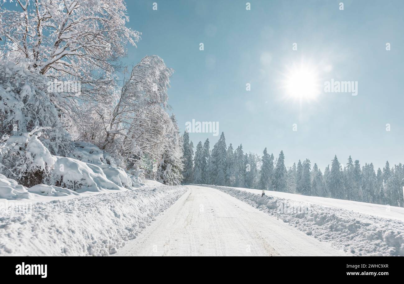 Strada in un paesaggio invernale innevato Foto Stock