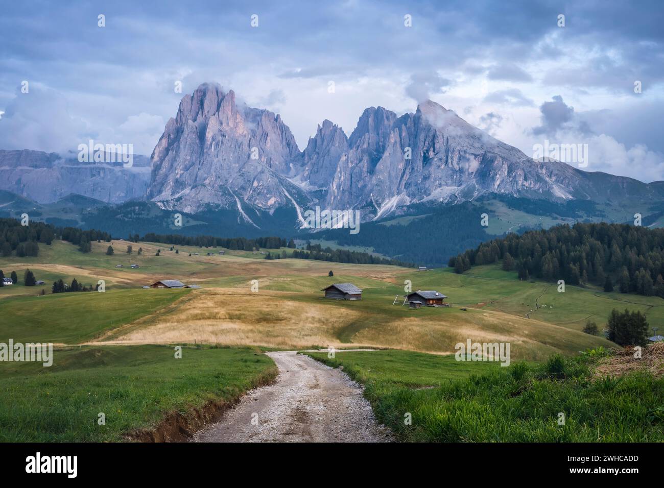 Dolomiti Alpi italiane. Alpe di Siusi, provincia di Bolzano, alto Adige, Italia, Europa. Foto Stock