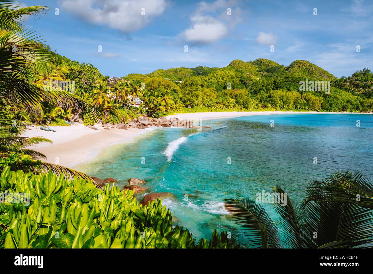 Isola di Mahe, Seychelles. La vocazione delle vacanze sulla splendida spiaggia tropicale esotica Anse intendance. Onde dell'oceano che si snodano verso la spiaggia sabbiosa con palme da cocco. Foto Stock