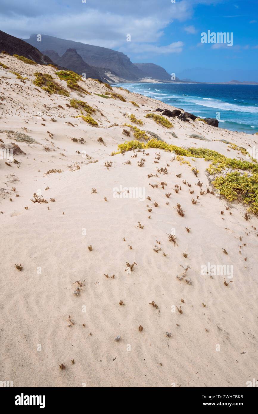 Dune di sabbia con alcune piante desertiche in un paesaggio desolato e mozzafiato della costa atlantica. Baia Das Gatas, a nord di Calhau, isola di Sao Vicente Capo Verde. Foto Stock