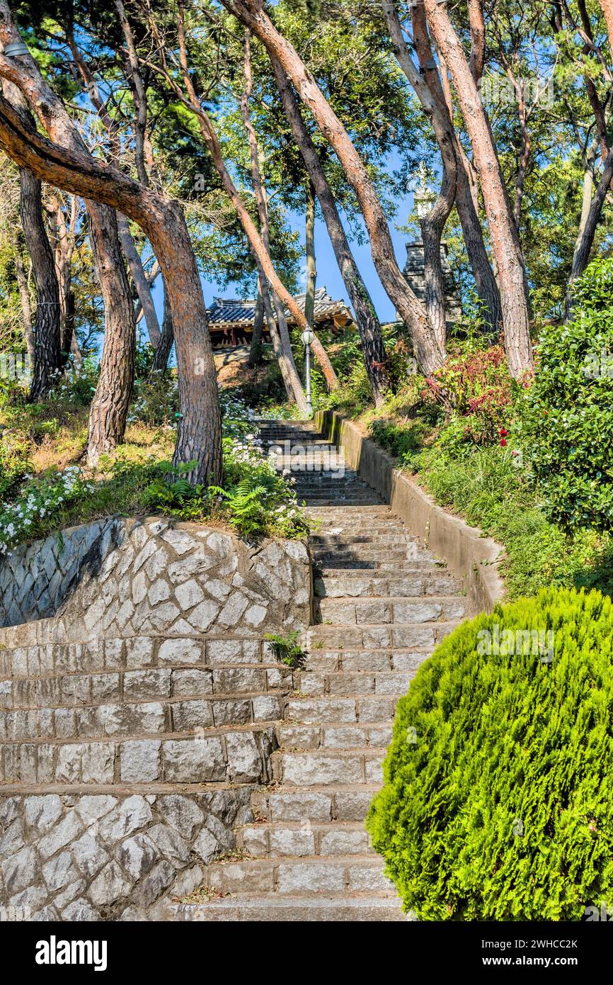 Scalinata in pietra e cemento sul fianco della collina sotto alberi all'ombra nel parco rurale della Corea del Sud Foto Stock