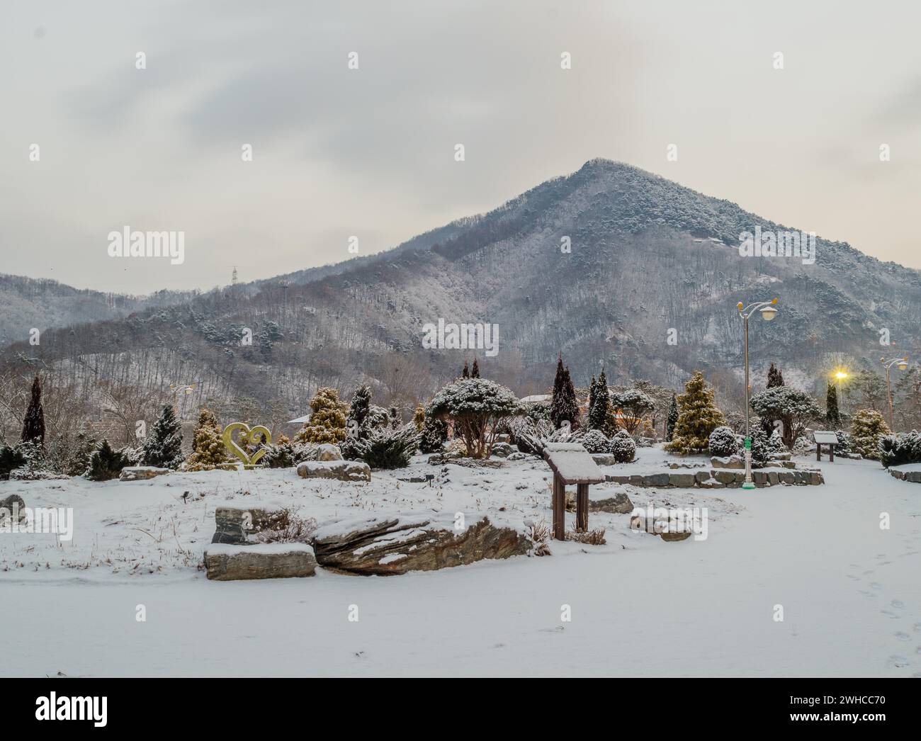 Paesaggio invernale del parco pubblico con alberi e cespugli di fronte a una montagna e cielo grigio coperto nella Corea del Sud Foto Stock