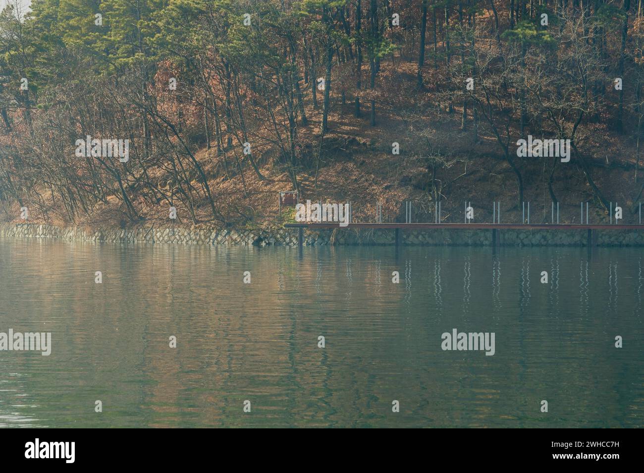 Paesaggio di un lago con una passerella in legno sull'estrema riva e sfondo di un'area boschiva nella Corea del Sud Foto Stock
