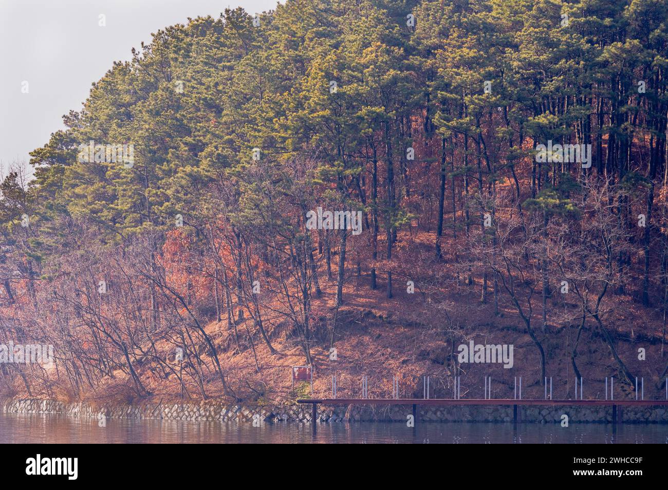 Paesaggio di un lago con una passerella in legno sull'estrema riva e sfondo di un'area boschiva nella Corea del Sud Foto Stock