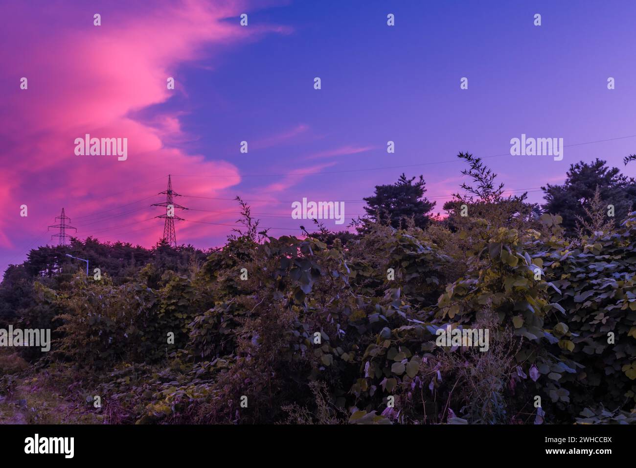 Cielo blu con grandi nuvole rosa dietro torri elettriche sulla cima di una collina di pini Foto Stock
