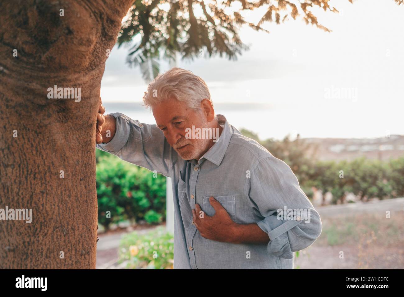 Scatto alla testa primo piano ritratto vecchio malato che si sente male toccando il petto al parco. Maschio maturo stanco che riposa accanto all'albero. Foto Stock