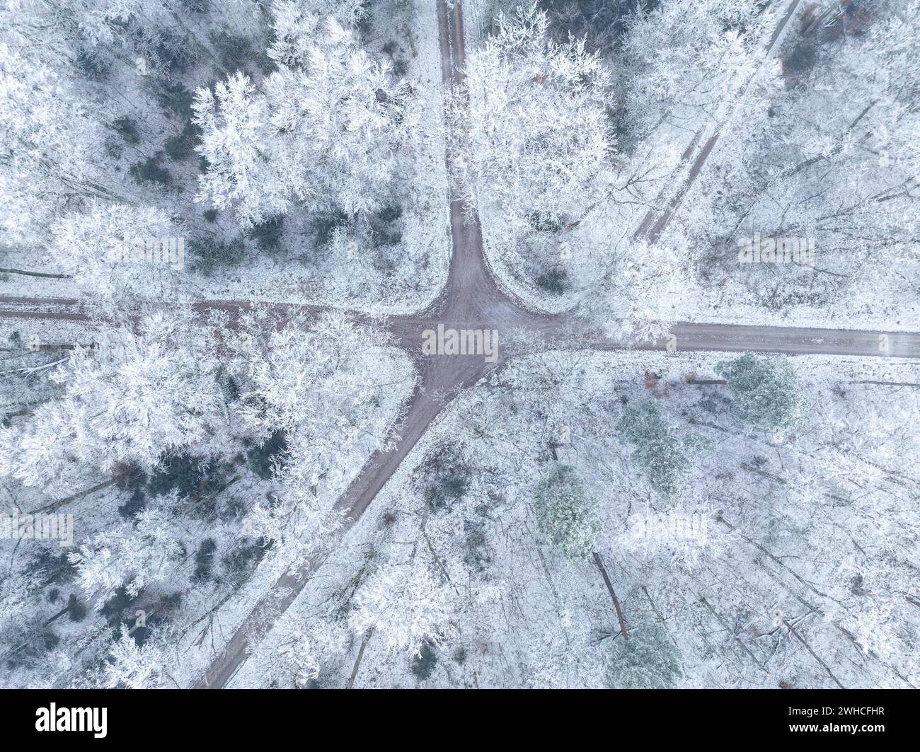 Veduta da droni dei sentieri della foresta innevata che si incrociano tra loro, Gechingen, Foresta Nera, Germania Foto Stock