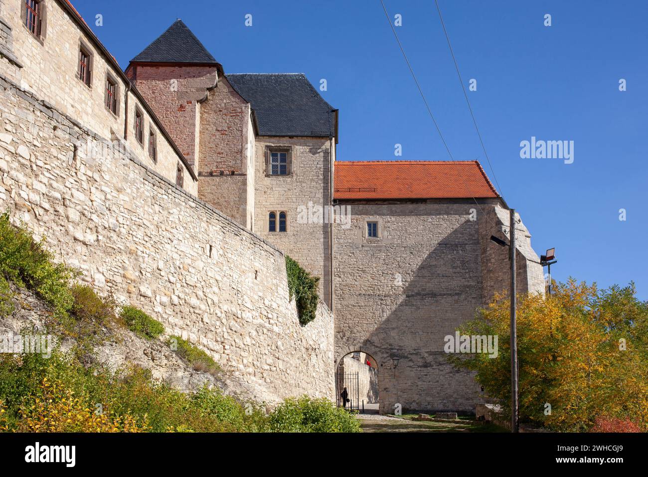 Castello di Neuenburg, Friburgo an der Unstrut, Sassonia-Anhalt, Germania, Europa Foto Stock