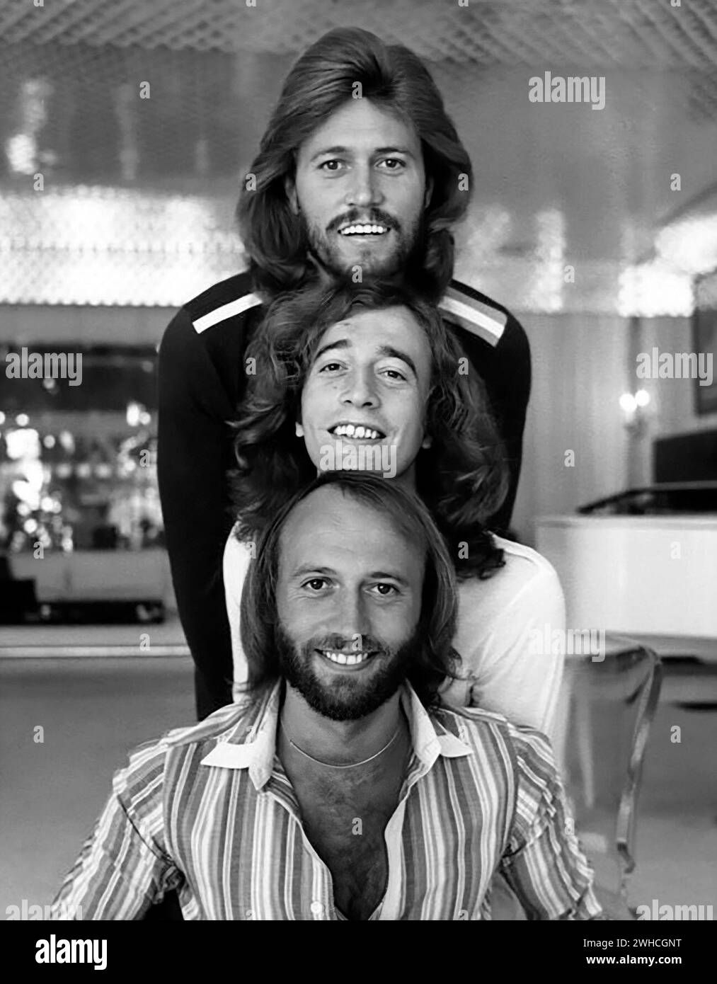 I Bee Gees. Ritratto del gruppo pop britannico The Bee Gees nel 1977. Dall'alto, Barry Gibb (1946), Robin Gibb (1949-2012) , Maurice Gibb (1949-2003) Foto Stock