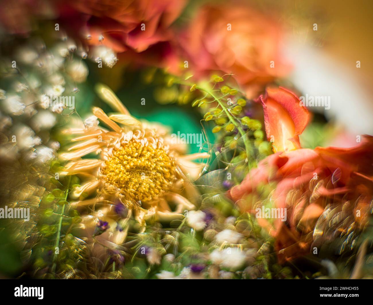 Composizione floreale a base di fiori secchi Foto Stock