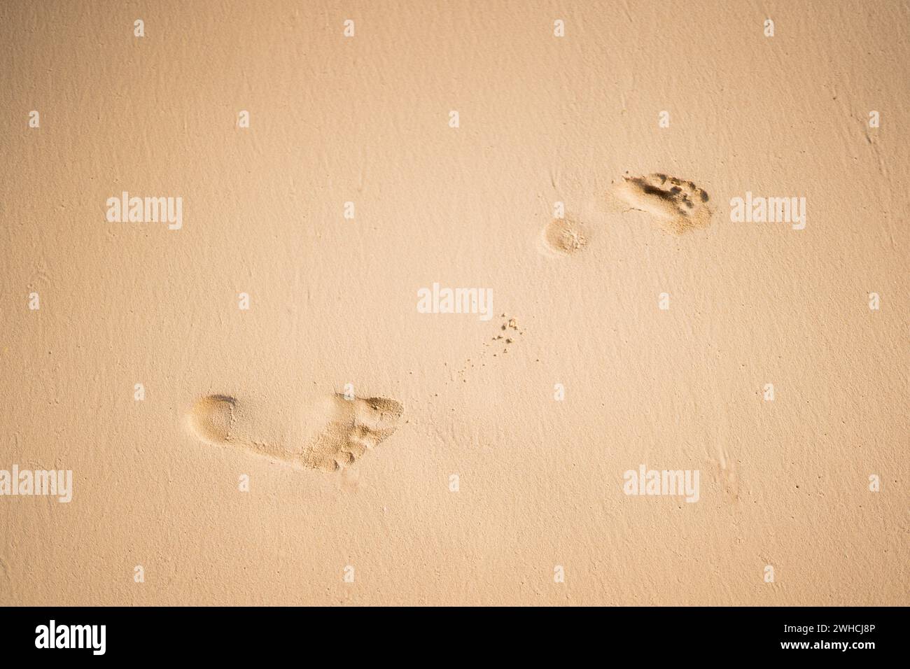 Un unico paio di impronte lascia un segno sulla sabbia liscia e incontaminata, suggerendo un momento di solitudine e riflessione in riva al mare. Foto Stock