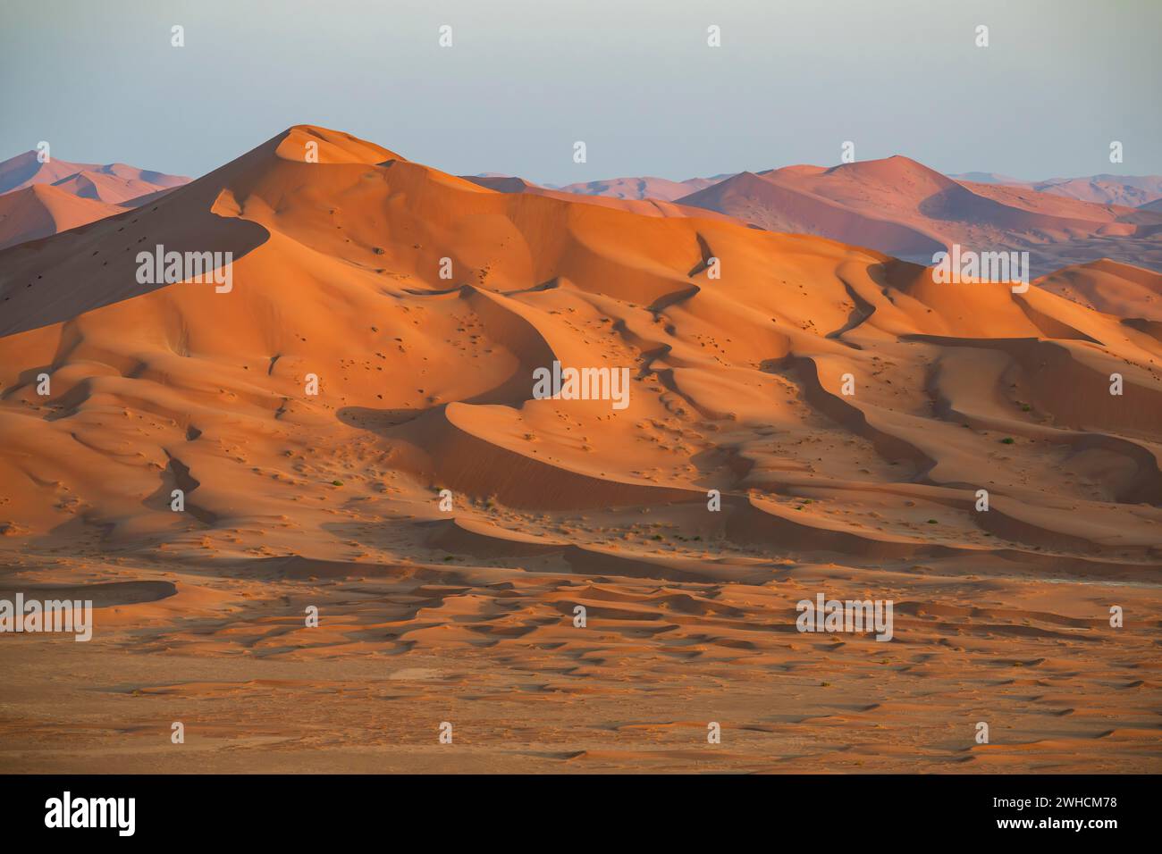 Dune di sabbia nel deserto di Rub al Khali, il deserto di sabbia più grande del mondo, il quartiere vuoto, Oman Foto Stock