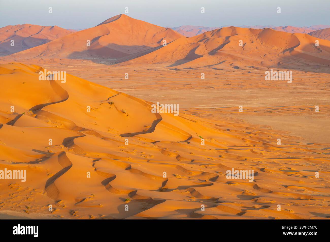 Dune di sabbia nel deserto di Rub al Khali, il deserto di sabbia più grande del mondo, il quartiere vuoto, Oman Foto Stock